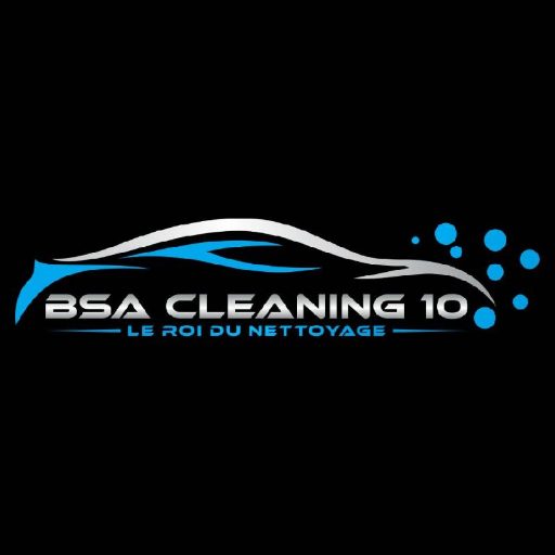 BSA CLEANING 10