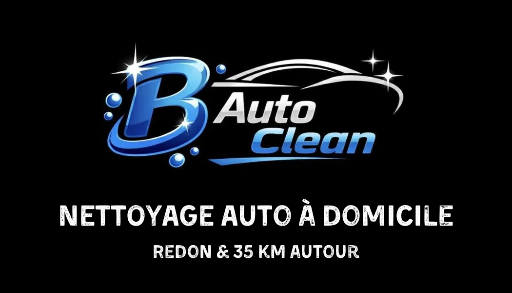 B Auto Clean 